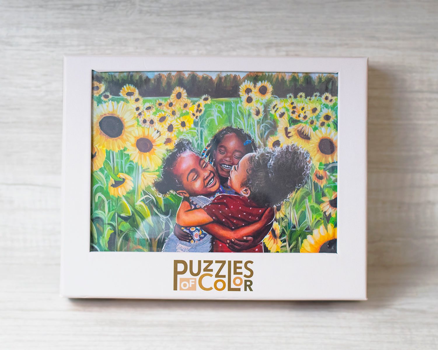 Puzzles of Color Box with Kids on the Cover